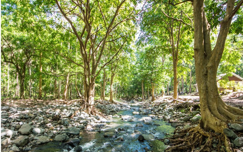 Nature Mauritius - - Top 5 Activities to do in Mauritius - Living in Mauritius Island
