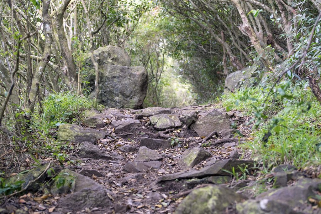 Le Pouce - Moka Trail